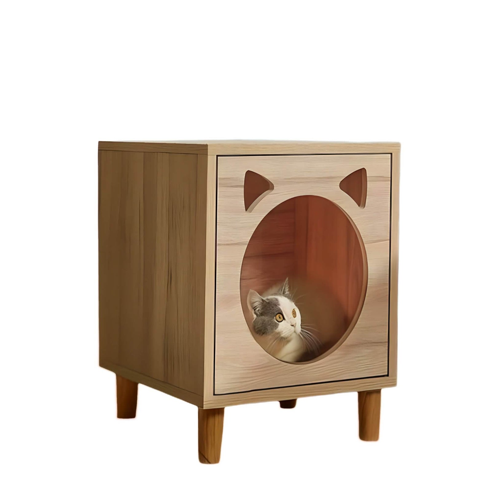 Ath309 - منزل قطط